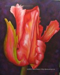 Red Tulip. 24" x 30"<b style='font-size: 200%; color: red;'>SOLD</b>