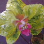 Here is another version of the pale green orchid.