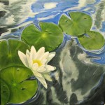 Water Lily 16" x 16<b style='font-size: 200%; color: red;'>SOLD</b>